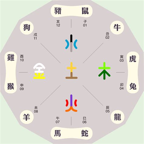 雅 五行|雅的五行属性是什么